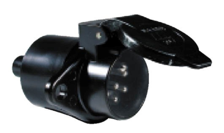PISTORASIA 082-005815