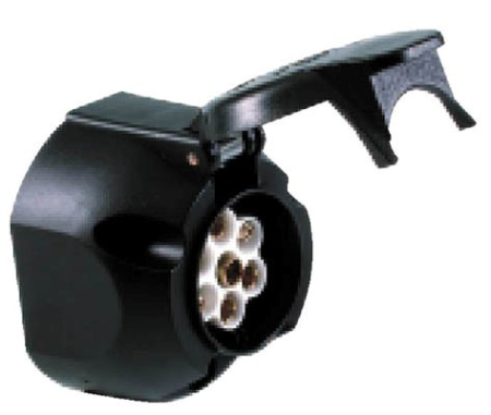 PISTORASIA 082-00401100